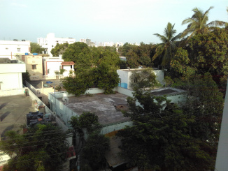 Siva's lucky to live in a place with a lot of greenery. Most of the trees you see here are mango trees. Mango season starts a week or two from now ! Yummy !