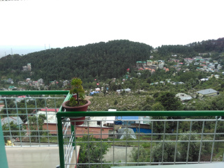 There is a shared balcony. This is the view right in front of my room. Since my table for breakfast is located there, this is also the view I have while eating ;-)