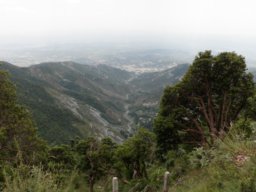 View of the Kangra valley (?) from the Triund track.